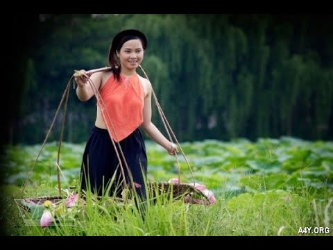 Freelancer Và Cơ Hội Kiếm Tiền Từ Nền Tảng Hotspot Matrix_Tiếp thị kỹ thuật số đại lý