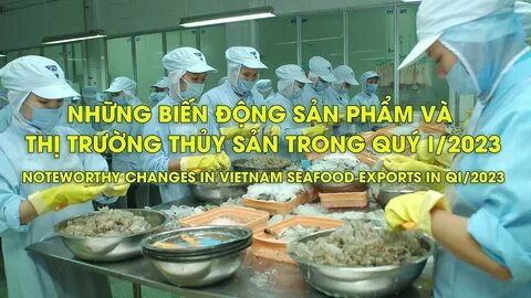 Video ngắn – Giải pháp truyền thông thông minh cho doanh nghiệp nhỏ_chiến lược tiếp thị video cho startup