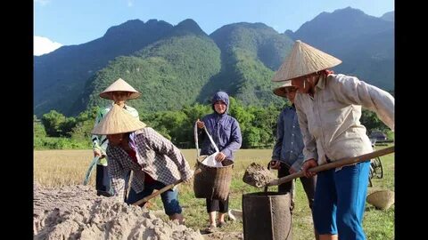 Làm Video Ngắn – Vừa Sáng Tạo, Vừa Kiếm Tiền Với Công Cụ Hữu Ích_chiến lược hiệu quả tiếp thị video