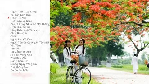 Video ngắn – Giải pháp truyền thông thông minh cho doanh nghiệp nhỏ_cách làm video lan truyền
