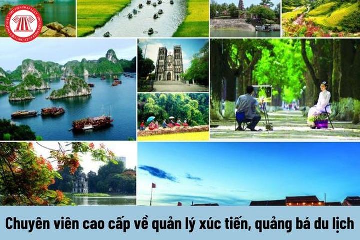 Một xu hướng mới nổi trên mạng xã hội hiện nay là