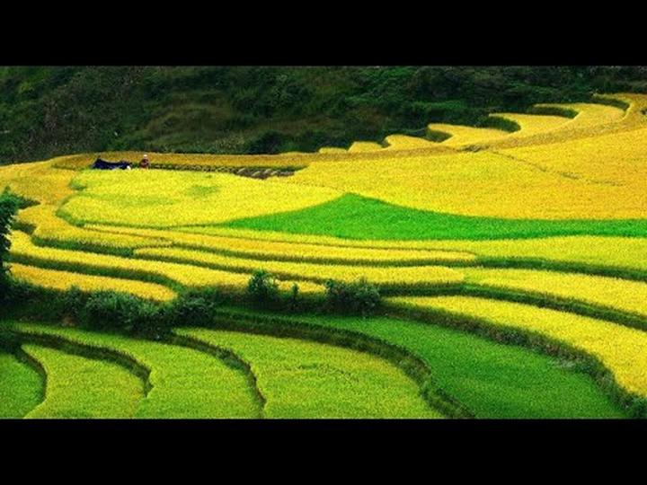 Chuyên gia Hotspot Matrix phân tích: Nữ diễn viên Đẹp hơn thiên và marketing video