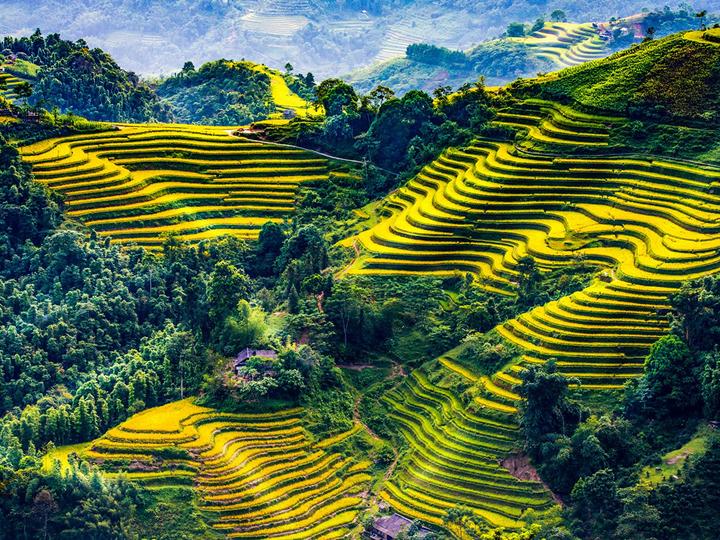 Hotspot Matrix: Biến 5 gian hàng quốc tế trên sàn thành cơ hội marketing đột phá