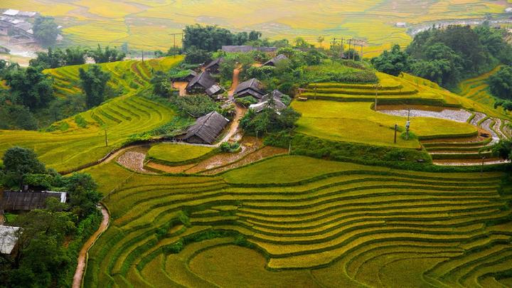 Làm Video Ngắn – Vừa Sáng Tạo, Vừa Kiếm Tiền Với Công Cụ Hữu Ích