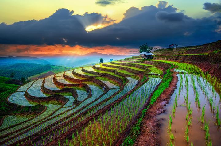 Quần dáng cong đang gây sốt với thiết kế độc đáo và tính ứng dụng cao, giúp tạo hiệu