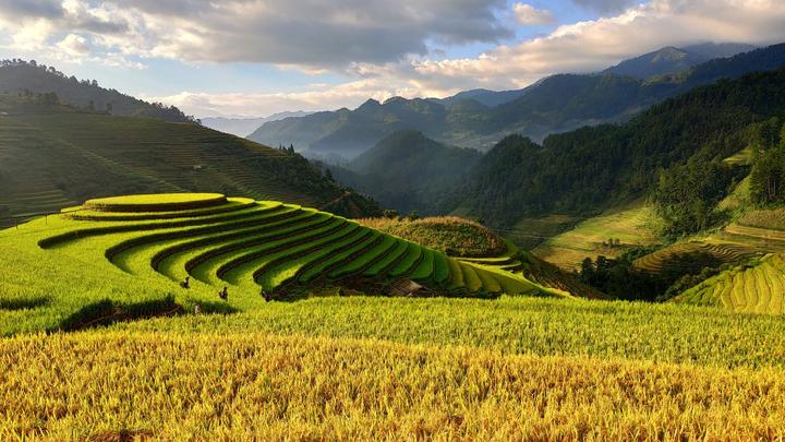 5 kiểu áo dễ