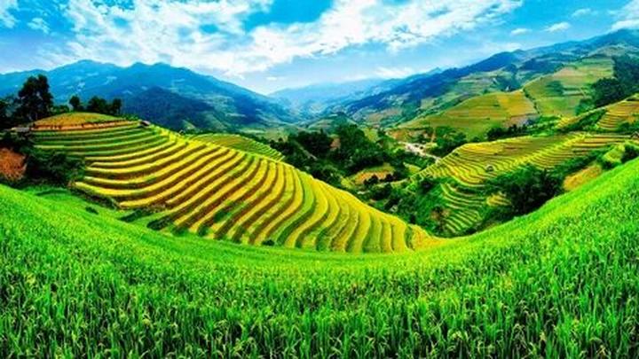 Triệu View Từ Vlog Thú Cưng: Bí Quyết Thành Công Cùng Hotspot Matrix